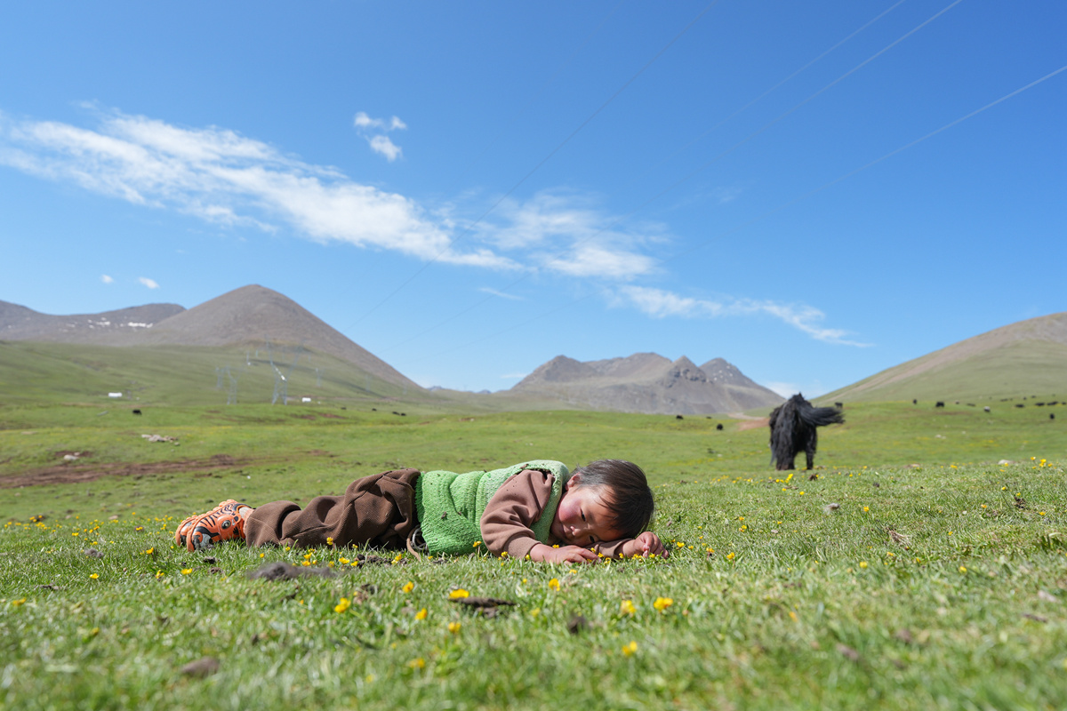 央媒看四川丨生活在海拔4800米的夏牧场——四川石渠县牧民尼美多吉的帐篷畅想(图10)