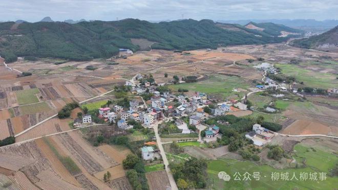 柳城这个外地媳妇有两把刷子(图6)