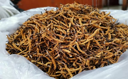 通裕重工收盘上涨383%滚动市盈率13633倍总市值9509亿元(图1)