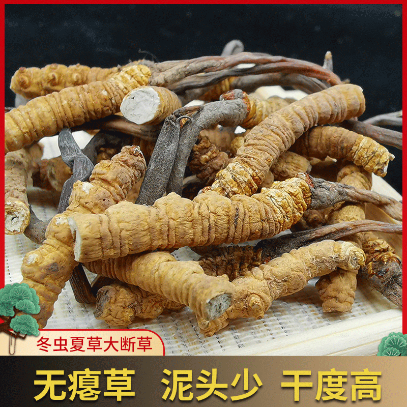 一斤超百元市场的抢手货山东的知了猴为何火出圈(图1)