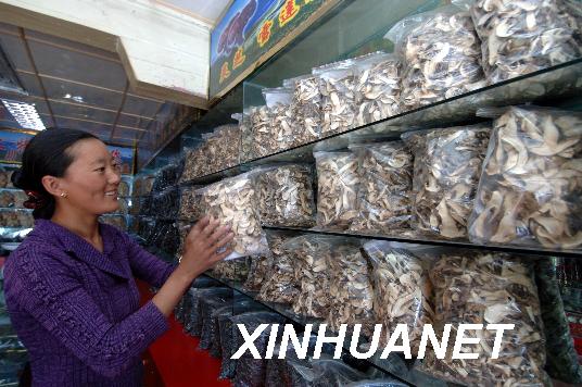 发展上水平林芝县选准优势做大做强特色产业(图3)