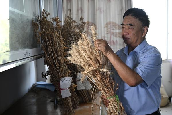 心系乡亲传技术带领农民同致富(图1)