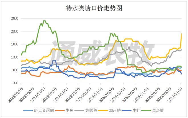 加州鲈最高涨5元斤！鲤鱼、黄颡鱼、斑点叉尾鮰涨价！白虾、草牛蛙跌价(图4)