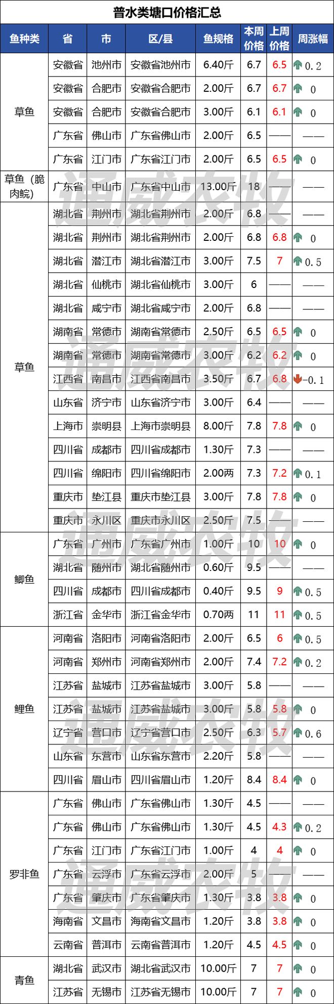 加州鲈最高涨5元斤！鲤鱼、黄颡鱼、斑点叉尾鮰涨价！白虾、草牛蛙跌价(图3)
