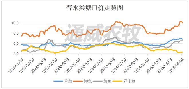 加州鲈最高涨5元斤！鲤鱼、黄颡鱼、斑点叉尾鮰涨价！白虾、草牛蛙跌价(图1)