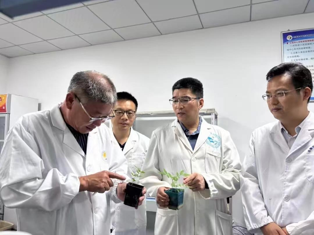 阜阳师大：以有组织科研模式推进创新链与产业链深度融合(图1)