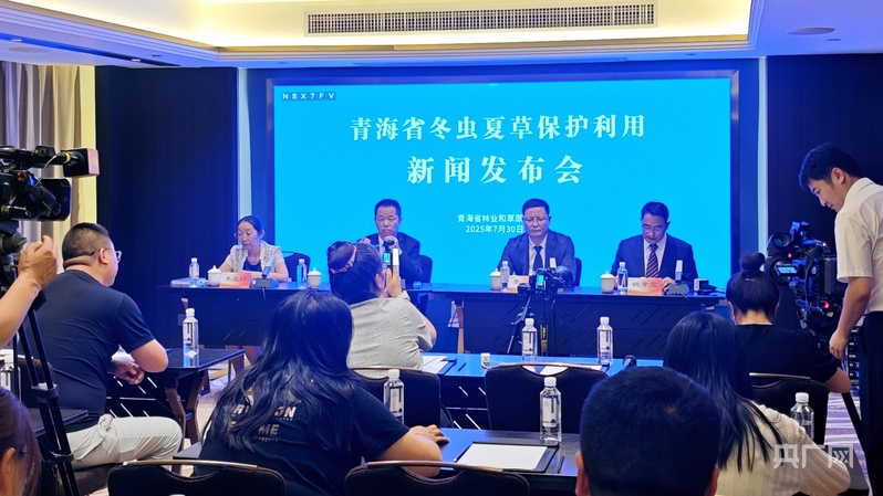研究员教你“剥洋葱”辨冬虫夏草轻松区分野生与人工(图1)