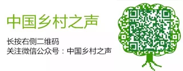 当心这些所谓赚钱项目是陷阱！(图1)