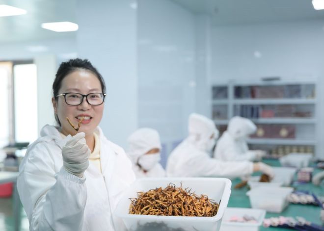 “天价虫草”跌下神坛！这位叫赠伊的姑娘在全国火了(图2)