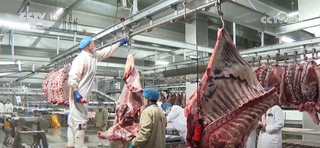 构建现代饲草产业做好饲料“文章”更好保障国家粮食安全与重要农产品供给(图16)