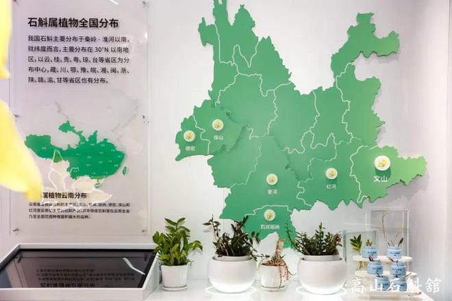 重磅！植物医生再创“中国成分”新地标(图8)