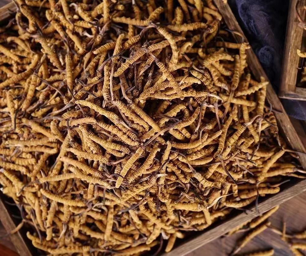 北极星智能电网在线(图1)