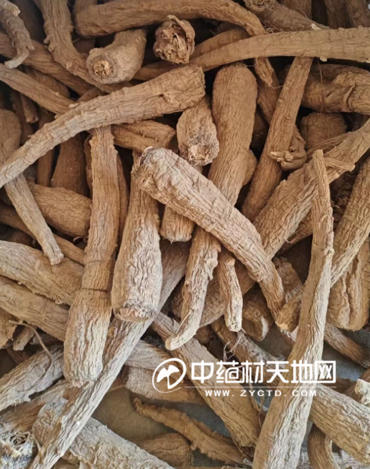 安国药市7月点评：行情低迷人气弱曙光仍需耐心等待(图2)