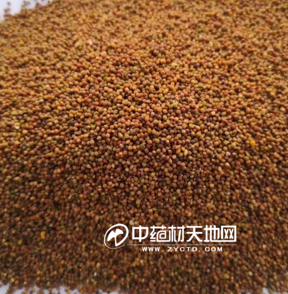 安国药市7月点评：行情低迷人气弱曙光仍需耐心等待(图4)