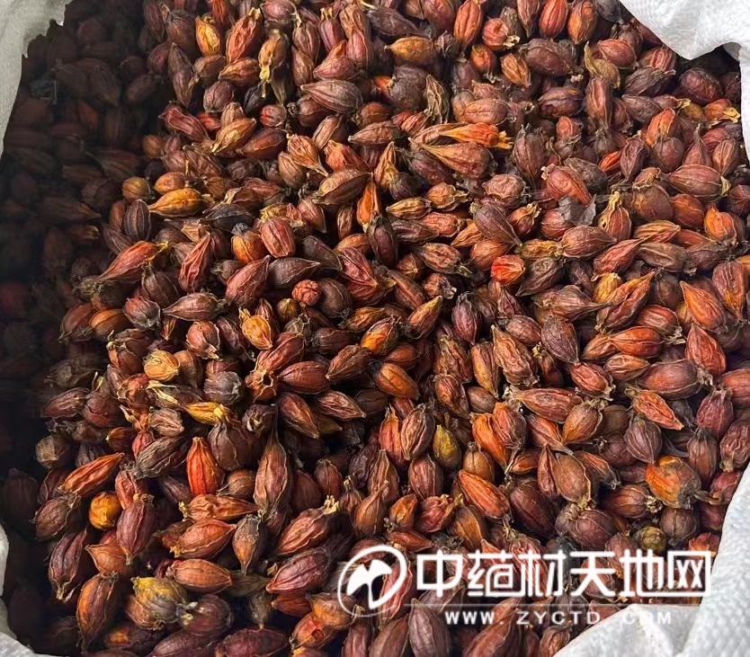 玉林药市2025年7月点评：下半年开局市场疲态依旧(图4)