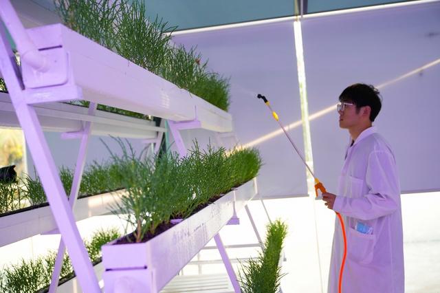 二零二五年度虫草养殖基地合作种植合同规范docx(图1)