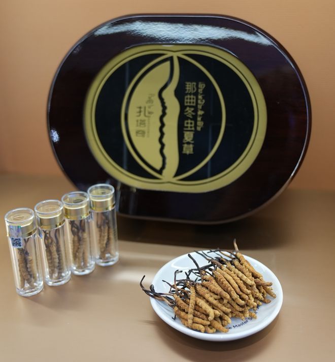 那曲唯一国企虫草！尊享版上线元头茬干草“小金条”YY开启限量返场(图1)