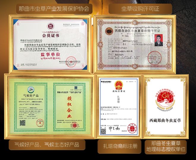 那曲唯一国企虫草！尊享版上线元头茬干草“小金条”YY开启限量返场(图7)