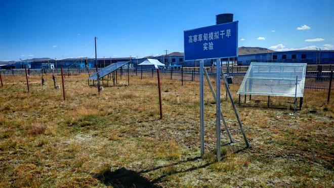 海拔4500米上的科技小院在藏北高原修复冰天雪地(图4)