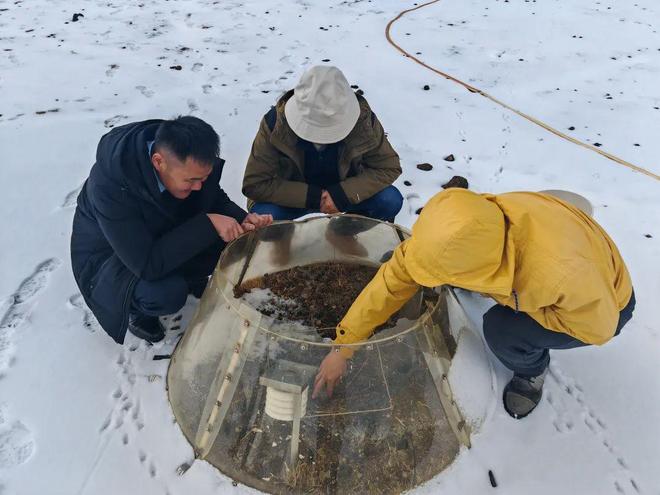 海拔4500米上的科技小院在藏北高原修复冰天雪地(图3)