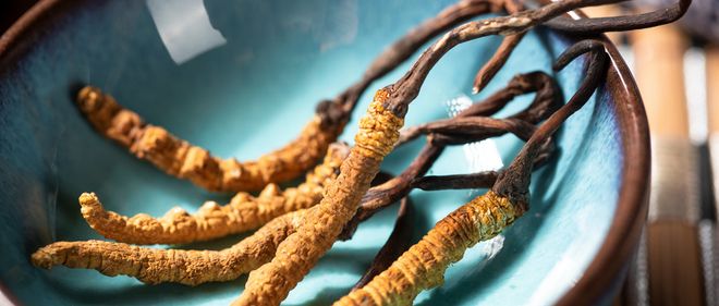 冬虫夏草现在还在跟风种吗？不了解它的生长一切都白搭！(图5)