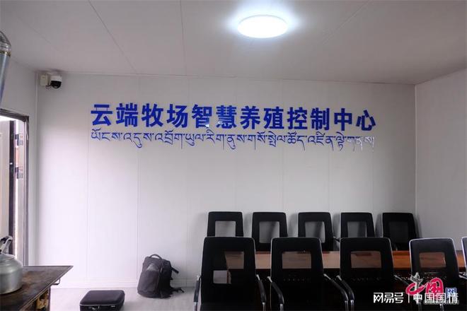 生态治多“羊”气十足！喝江源水吃虫草听音乐的“幸福”羊养成记(图3)