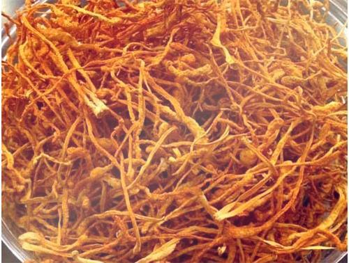 那曲市冬虫夏草产业发展保护管理协会成功入选国家市场监督管理总局首批“守护品牌”政企协作机制成员名单(图1)