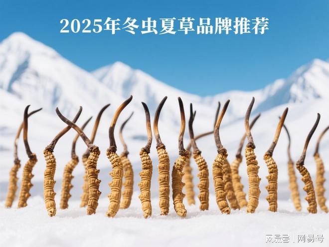2025年哪个牌子的冬虫夏草最好？这10大高性价比品牌告别(图1)