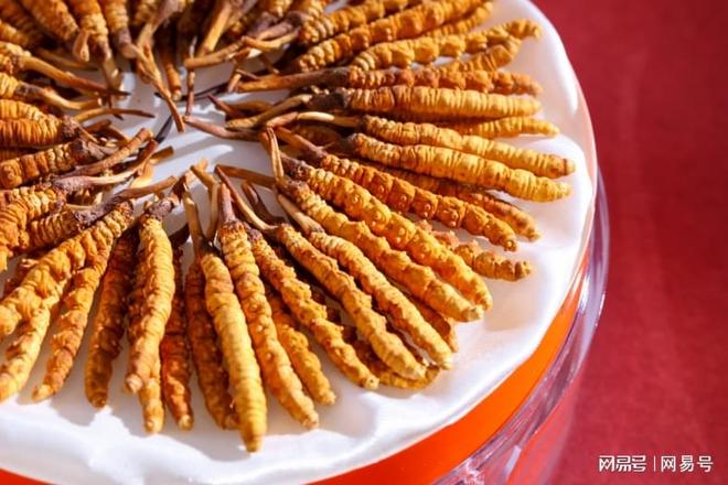 2025年哪个牌子的冬虫夏草最好？这10大高性价比品牌告别(图2)