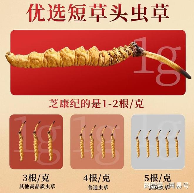 2025年哪个牌子的冬虫夏草最好？这10大高性价比品牌告别(图3)