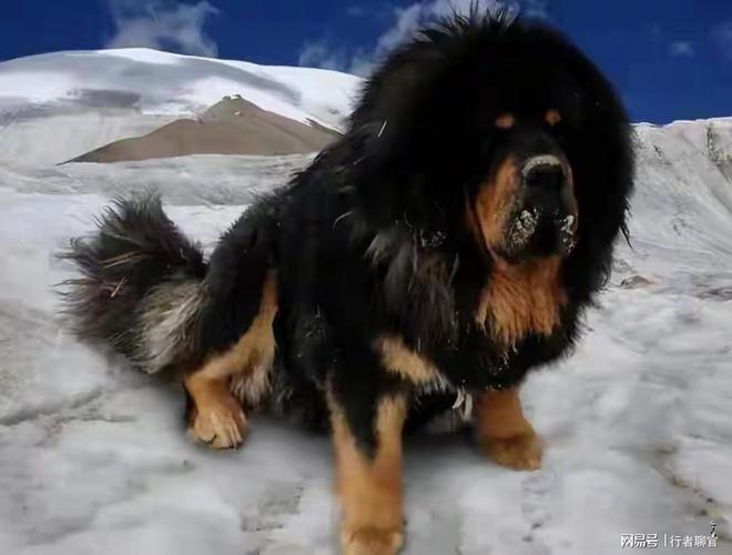 这些年贬值最多的十样东西为何没人要了？从上百万跌到白菜价(图6)