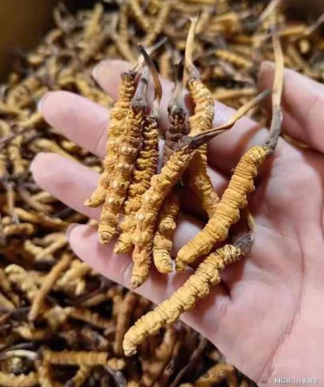 这些年贬值最多的十样东西为何没人要了？从上百万跌到白菜价(图7)