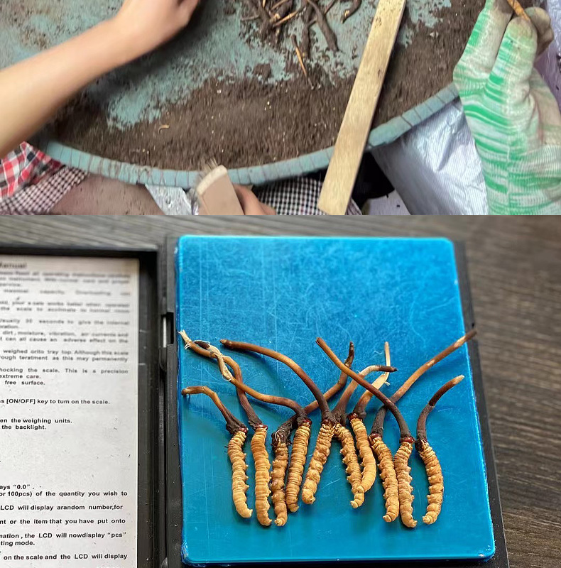 保利发展(600048)_股票价格_行情_走势图—东方财富网(图1)