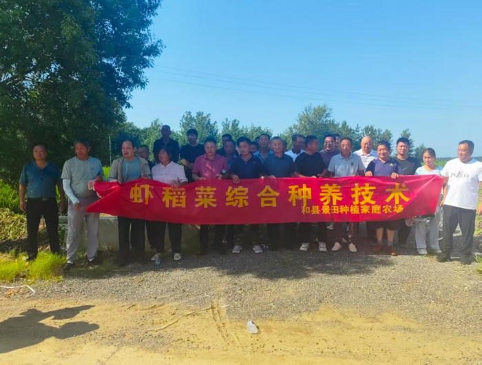 石杨镇：稻田传技赋新能乡村振兴启新程(图1)