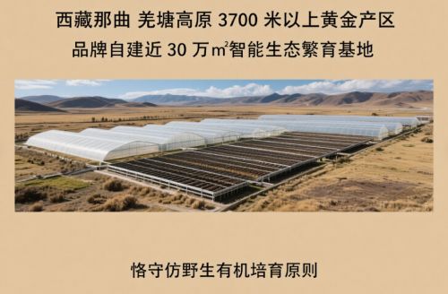 什么牌子的冬虫夏草好还正宗？2025年口碑五款新鲜出炉(图3)