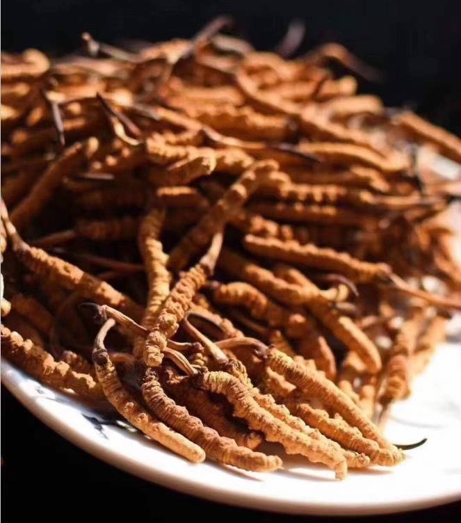 乡村振兴丨抚松县农业农村局举办大豆病虫草害绿色防控技术示范与推广项目培训班(图1)