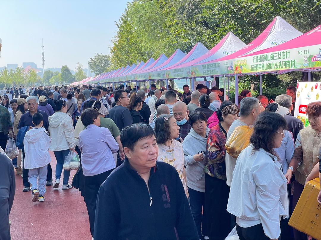 530余种农产品进城！淄博市“村村都有好项目”展销会震撼登场(图3)