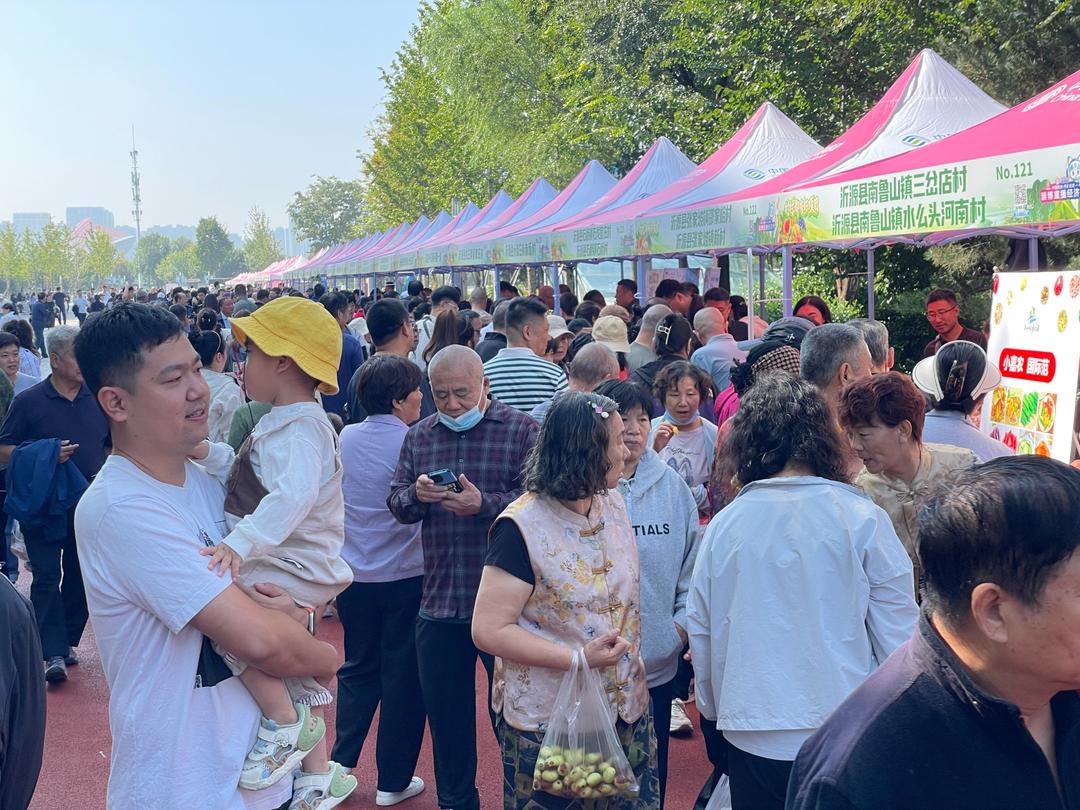 530余种农产品进城！淄博市“村村都有好项目”展销会震撼登场(图6)