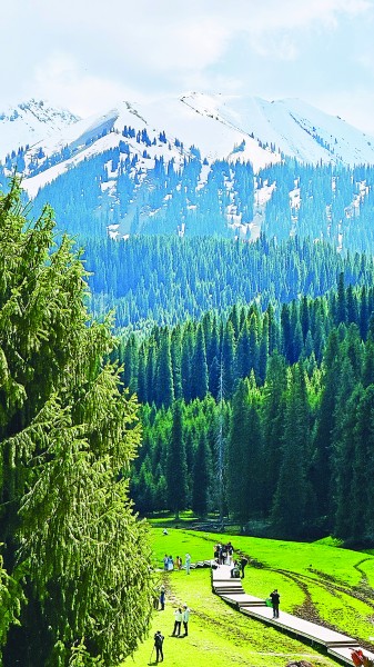 同心共筑梦天山绽新颜(图3)