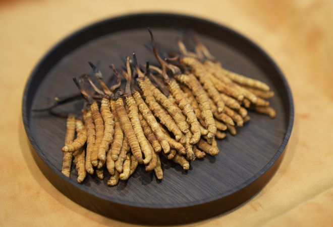 从未有过的好价！橙柿家旗舰店“中秋有礼”当季热门养生好物来店有专享福利(图7)