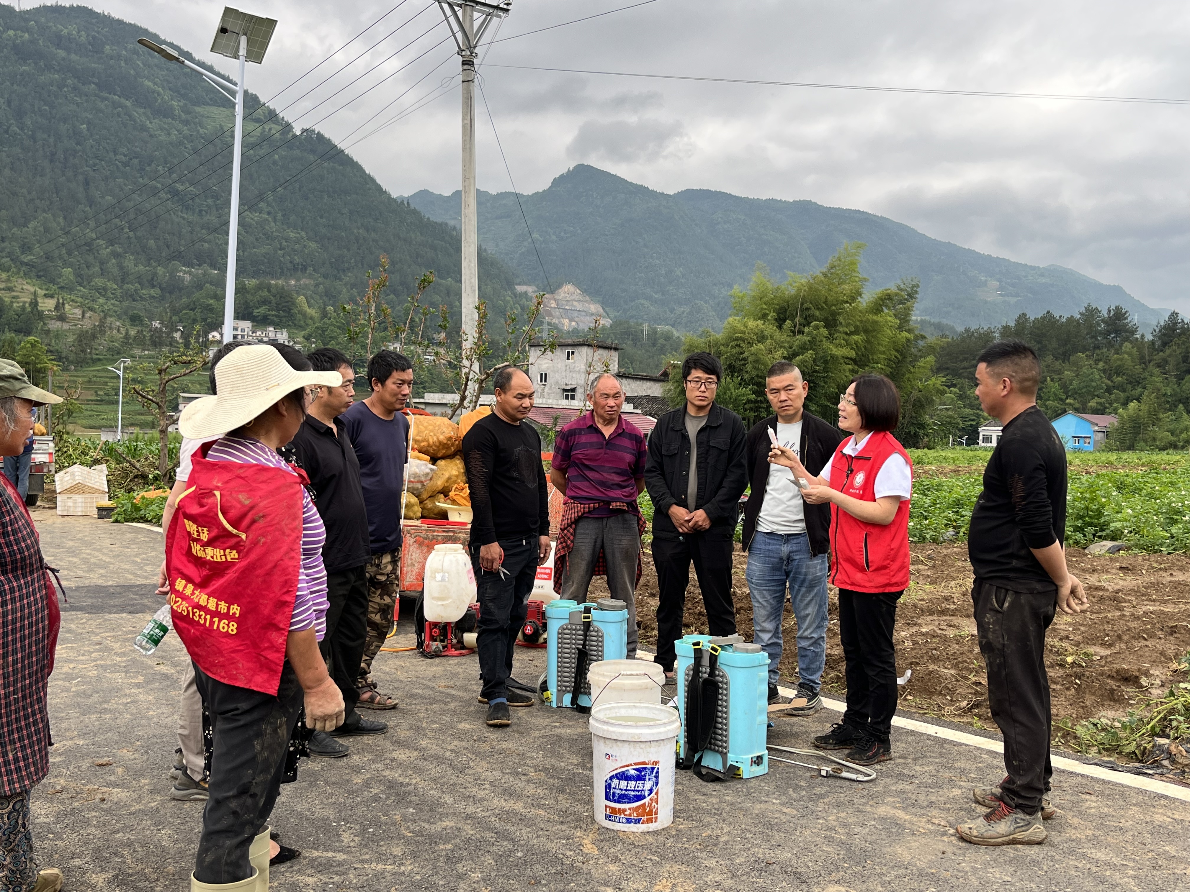 薯田“科技问诊”：让丘陵山地的“土疙瘩”变“金豆豆”(图1)