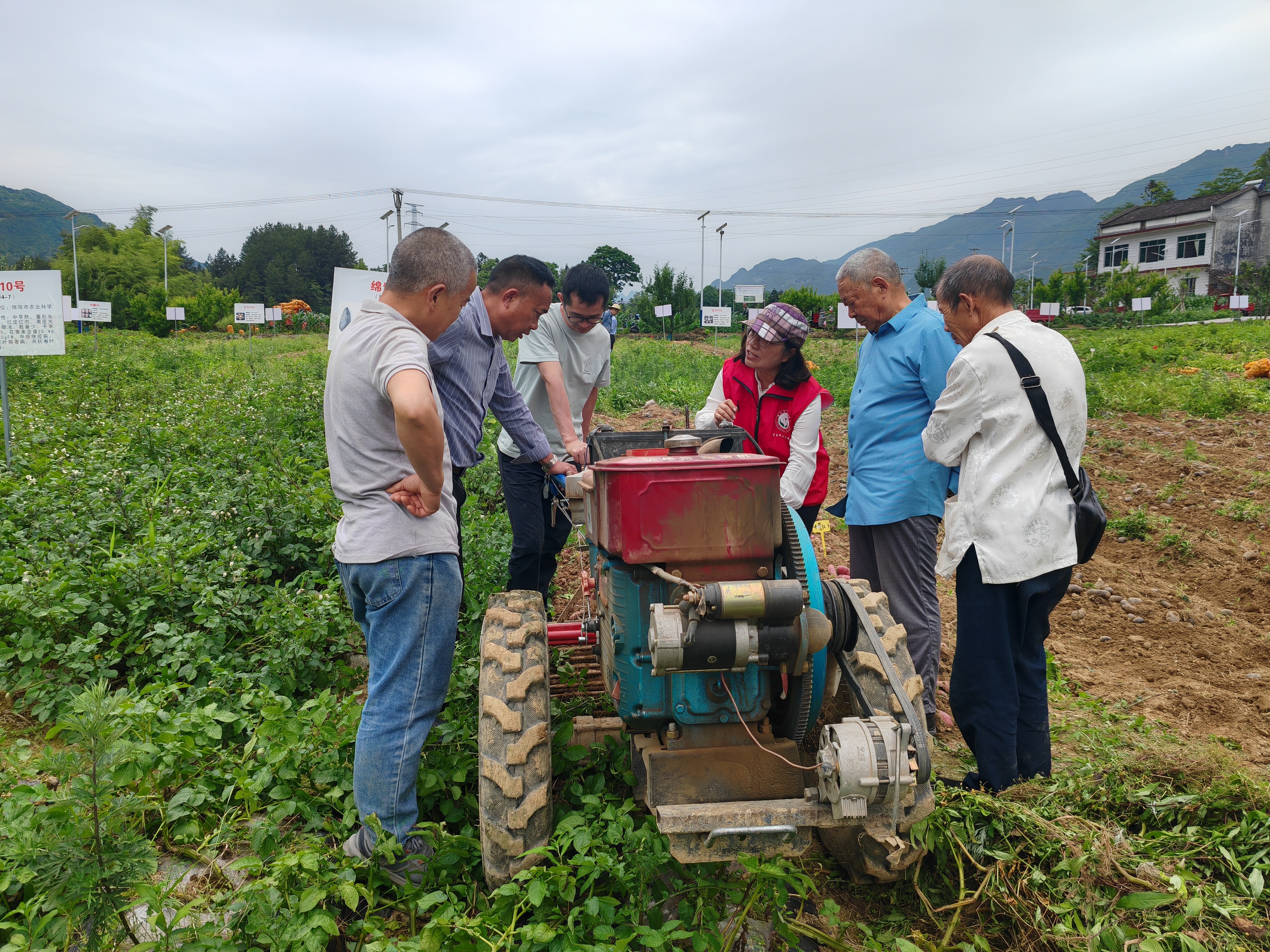 薯田“科技问诊”：让丘陵山地的“土疙瘩”变“金豆豆”(图2)