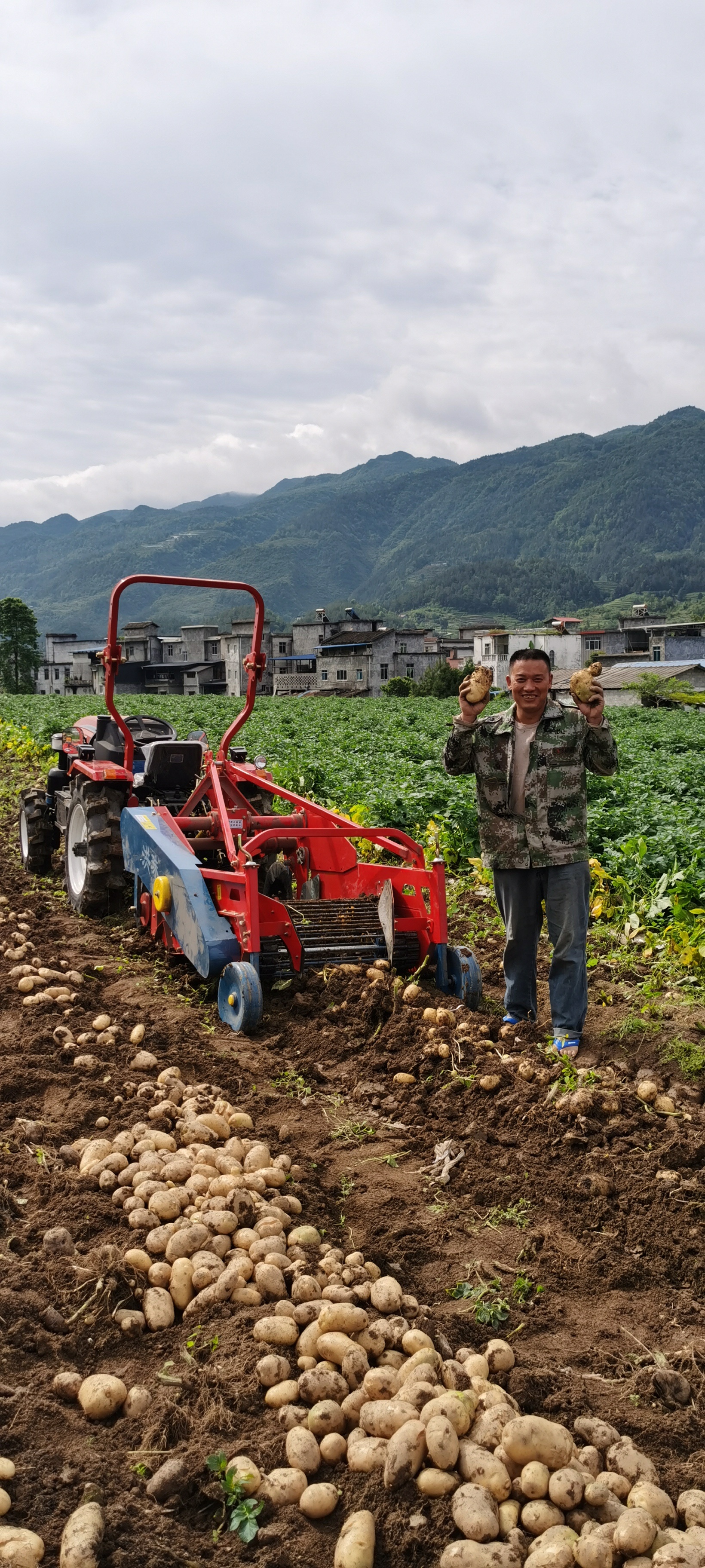薯田“科技问诊”：让丘陵山地的“土疙瘩”变“金豆豆”(图4)