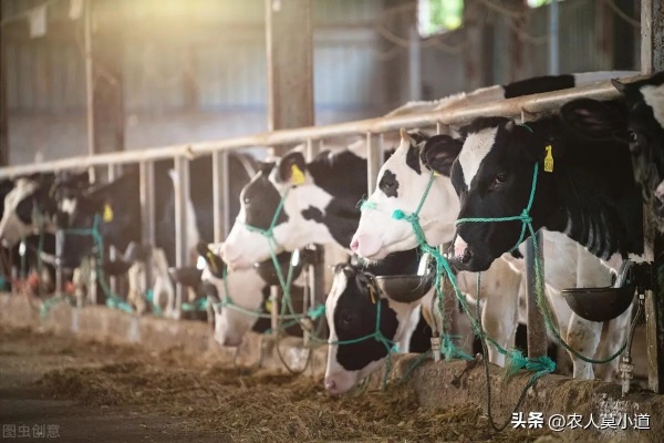 关于我们-雷峰网(图1)