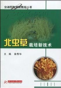 【乡村振兴首席专家】蔡春岐：乡村振兴里的“果粮双栖”带头人(图1)