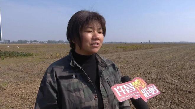 小麦播期推迟科学调整确保稳产高产！(图2)