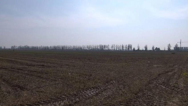 小麦播期推迟科学调整确保稳产高产！(图1)