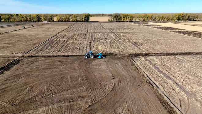 “五良”到田头丰收有奔头(图2)