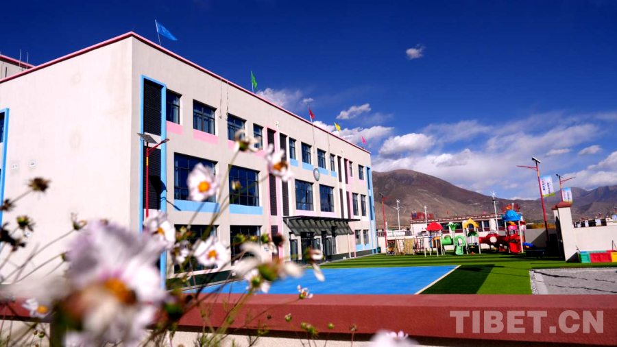 西藏山南：乡村美生活暖(图4)