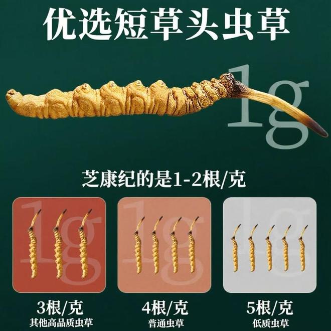 2025冬虫夏草哪个牌子好一点?冬虫夏草十强品牌入围名单公布这款品质更放心(图3)